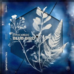 Blue Bird