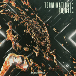 Termination Point