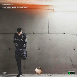 DOMUS Vol 2 (Compiled & Mixed by Plus Thirty)