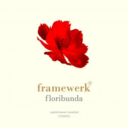 Floribunda