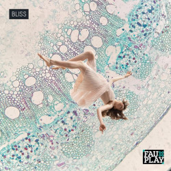 Bliss (The Mixes) 