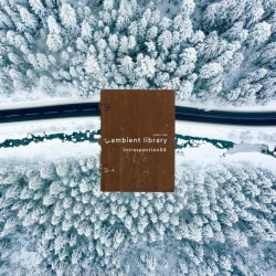 Ambient Library (Introspection04)