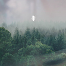 First Recording of Aethereal Fauna