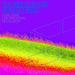 Goose Bumps Collection Vol 11