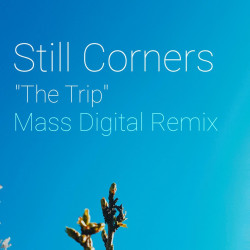 The Trip (Mass Digital Remix)