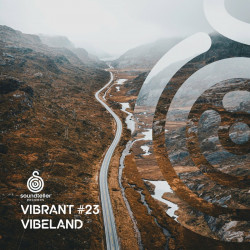 Vibrant Vibeland # 23