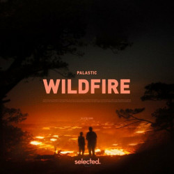 Wildfire