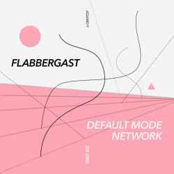 Default Mode Network