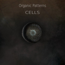 Cells