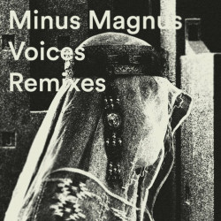 Voices (Remixes)