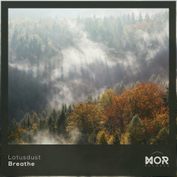 Breathe