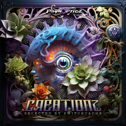 Creationz V6 Selected By Switchcache
