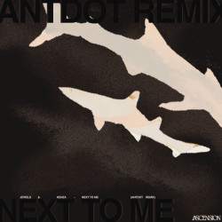 Next To Me (Antdot Remix)