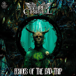 Echoes Of The Bad Trip