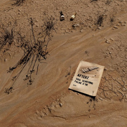 Soul Searching / Palme D’or