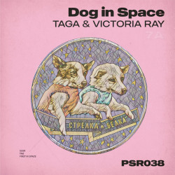 Dog in Space