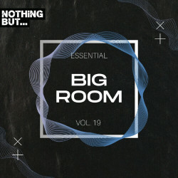 Nothing But... Essential Big Room, Vol. 19