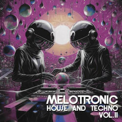 Melotronic House & Techno, Vol. 11