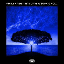 BEST OF REAL SOUNDZ VOL 3