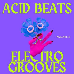 Acid Beats Electro Grooves, Vol. 2