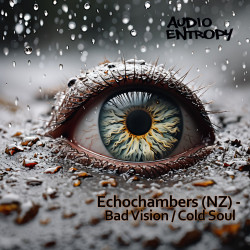 Bad Vision / Cold Soul