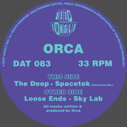 Loose Ends / Sky Lab / The Deep / SpaceTek (Unreleased Mix)