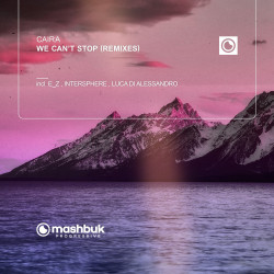 We Can’t Stop (Remix)es)