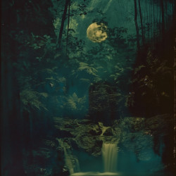 Midnight Springs 