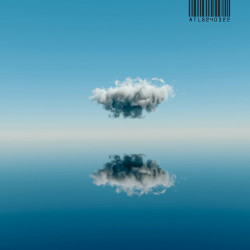 Reflection 