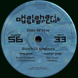Bunch Of Amateurs EP