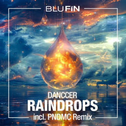 Raindrops (Pndmc Remix)