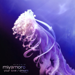 Your Love / Dream (Not Enough)