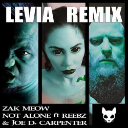 Not Alone (Levia Remix)