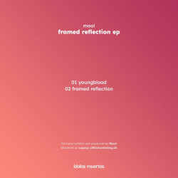 Framed Reflection EP