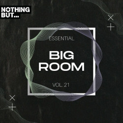 Nothing But... Essential Big Room, Vol. 21