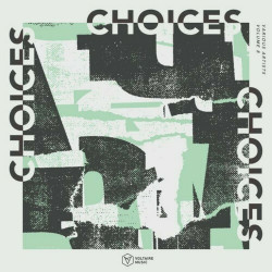 Voltaire Music Pres. Choices, Vol. 8 