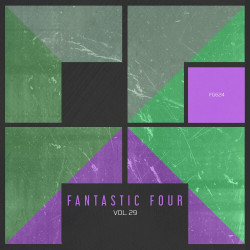 Fantastic Four Vol 29