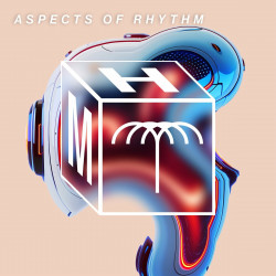 Aspects Of Rhythm