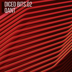 Diced Bits 02