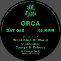 What Kind Of World / Camyx / Echoes