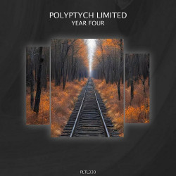 Polyptych Limited: Year Four