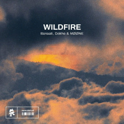 Wildfire