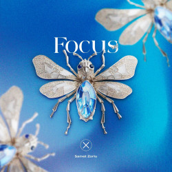 Focus / Prometheus