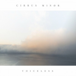 Voiceless