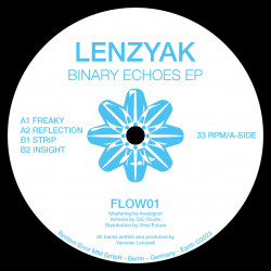 Binary Echoes EP