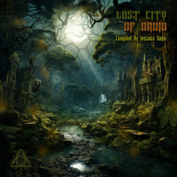 Lost City of Druid