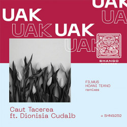 Caut Tacerea ft. Dionisia Cudalb