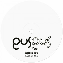 Within You (Kölsch Mix)