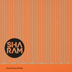 Don't Know (What) (Club Mix) 