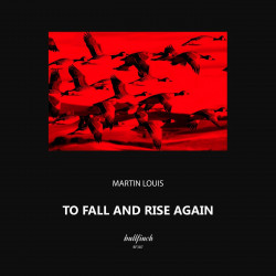 To Fall and Rise Again 
